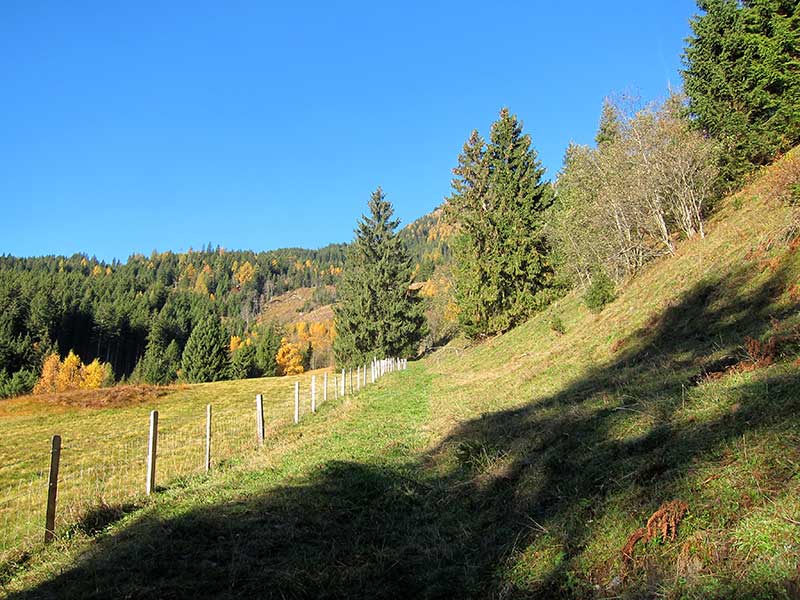 Schwarzwand